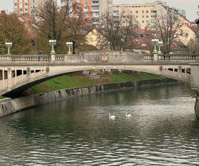 Praćenje rada u Sloveniji